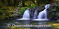 Elabana Falls Lamington National Park Photo - Gary Bell