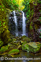 Box Log Falls Lamington Photo - Gary Bell