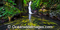 Lower Toolona Falls Lamington Photo - Gary Bell