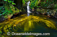 Lower Toolona Falls Lamington Photo - Gary Bell