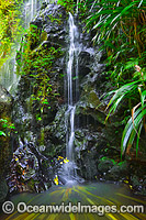 Chalan Falls Lamington National Park Photo - Gary Bell