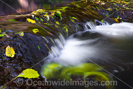 Lamington National Park Waterfall photo Lamington National Park Waterfall photo