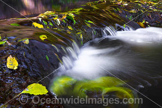 Lamington National Park Waterfall photo