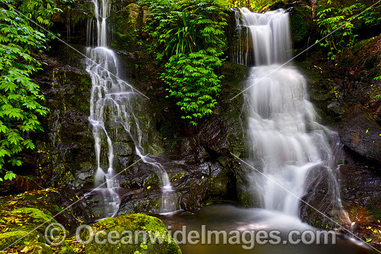 Twin Falls Lamington National Park photo Twin Falls Lamington National Park photo