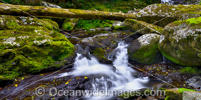 Rainforest Waterfall, situated in sub-tropical rainforest, Lamington World Heritage National Park, Queensland, Australia. Photo - Gary Bell Rainforest Waterfall, situated in sub-tropical rainforest, Lamington World Heritage National Park, Queensland, Australia. Photo - Gary Bell