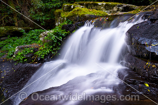 Lamington National Park Waterfall photo Lamington National Park Waterfall photo