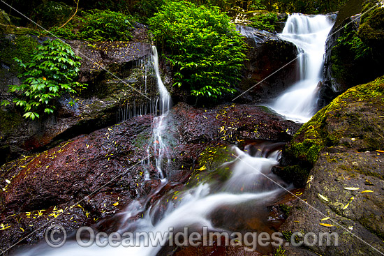 Rainforest Waterfall, situated in sub-tropical rainforest, Lamington World Heritage National Park, Queensland, Australia. Photo - Gary Bell Rainforest Waterfall, situated in sub-tropical rainforest, Lamington World Heritage National Park, Queensland, Australia. Photo - Gary Bell