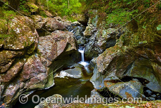 Urumbilum Rainforest Waterfall photo