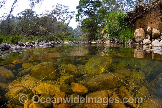 Under water, over water picture of the Styx River, situated near New England World Heritage National Park, New South Wales, Australia. Photo - Gary Bell