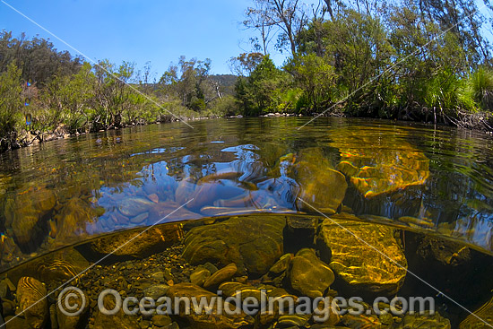 Under water, over water picture of the Styx River, situated near New England World Heritage National Park, New South Wales, Australia. Photo - Gary Bell Under water, over water picture of the Styx River, situated near New England World Heritage National Park, New South Wales, Australia. Photo - Gary Bell