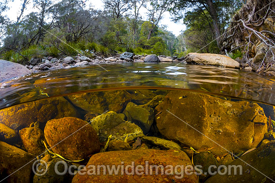 Under water, over water picture of the Styx River, situated near New England World Heritage National Park, New South Wales, Australia. Photo - Gary Bell Under water, over water picture of the Styx River, situated near New England World Heritage National Park, New South Wales, Australia. Photo - Gary Bell