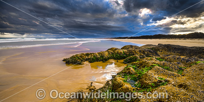 Gallows Beach Coffs Harbour photo Gallows Beach Coffs Harbour photo