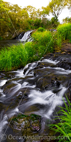 Upper Dangar Falls Dorrigo photo