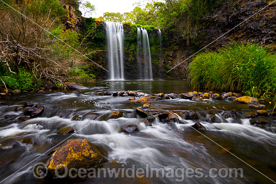 Dangar Falls Dorrigo photo Dangar Falls Dorrigo photo
