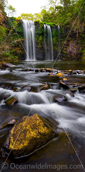 Dangar Falls Dorrigo photo