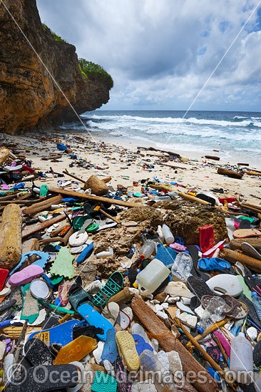 Marine Pollution Christmas Island photo