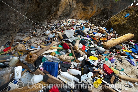 Marine Pollution Christmas Island photo