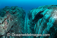 Chain damage on Christmas Island reef Photo - Gary Bell