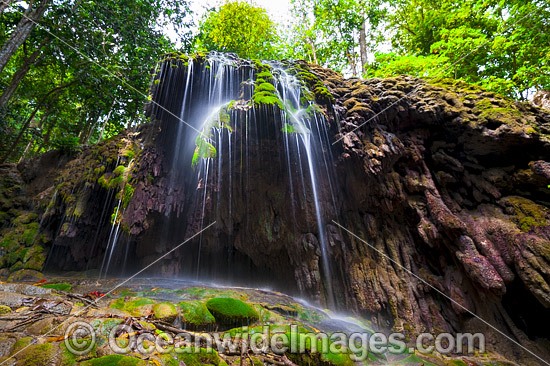 Waterfall Christmas Island photo