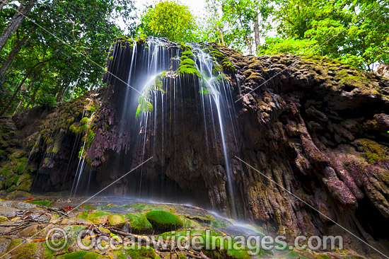 Hugh's Dale Waterfall, situated in tropical rainforest on Christmas Island, Indian Ocean, Australia. Photo - Gary Bell Hugh's Dale Waterfall, situated in tropical rainforest on Christmas Island, Indian Ocean, Australia. Photo - Gary Bell