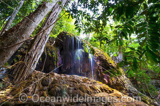 Waterfall Christmas Island photo