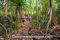 Boardwalk track Christmas Island Photo - Gary Bell