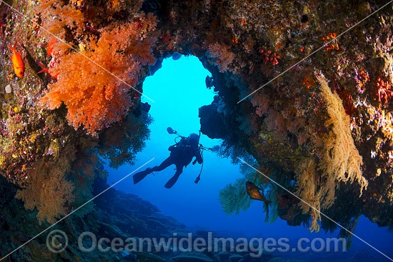 Diving Christmas Island photo