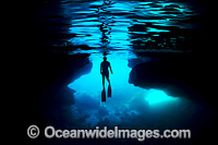 Snorkel Diver Christmas Island Photo - Gary Bell