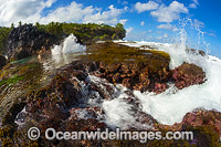 Christmas Island Blow-hole Photo - Gary Bell