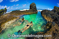 Christmas Island Rock pool Photo - Gary Bell