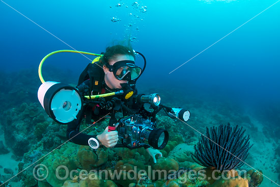 Underwater Photographer Christmas Island photo