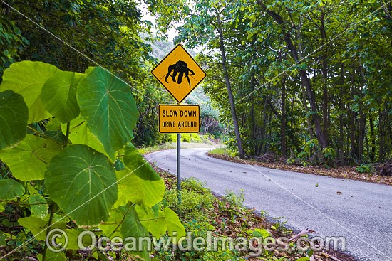 Crab warning sign Christmas Island photo