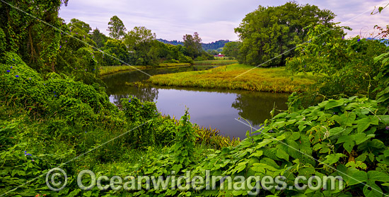 Bellinger River, located in the Mid North Coast region of New South Wales, near Bellingen, Australia. Photo - Gary Bell Bellinger River, located in the Mid North Coast region of New South Wales, near Bellingen, Australia. Photo - Gary Bell
