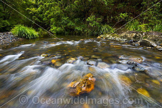 Urumbilum River Bindarri National Park photo Urumbilum River Bindarri National Park photo