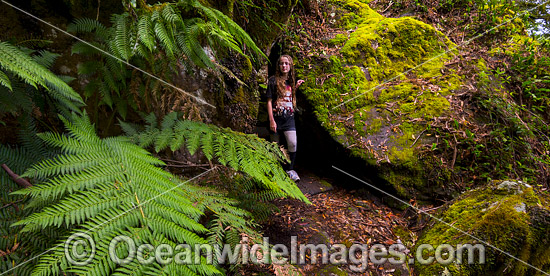 New England National Park photo