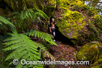 New England National Park Photo - Gary Bell