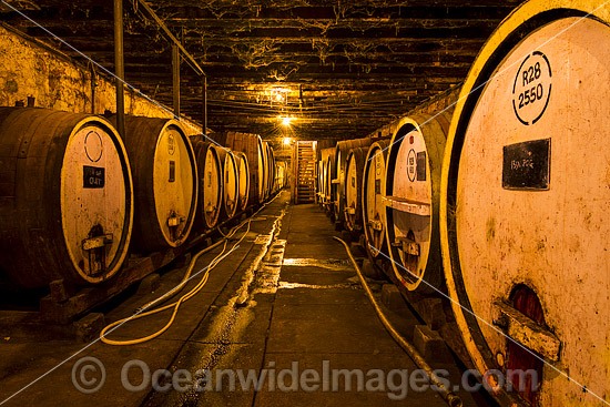 Wine Barrels at Winery photo