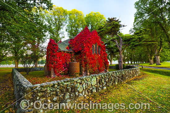 Autumn leaves Gostwyck Chapel photo