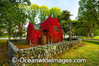 Autumn leaves Gostwyck Chapel Photo - Gary Bell