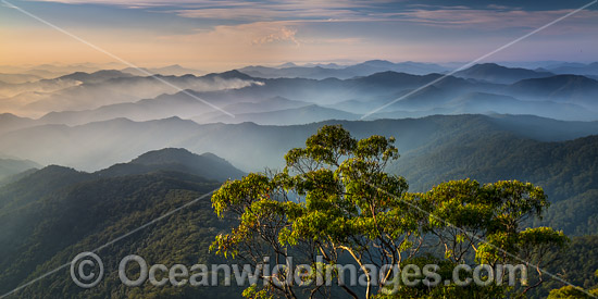 Lookout New England National Park photo Lookout New England National Park photo
