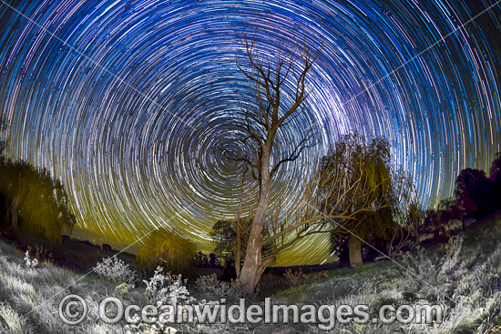 Star trails photo