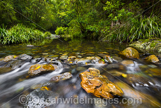 Urumbilum River Bindarri National Park photo Urumbilum River Bindarri National Park photo