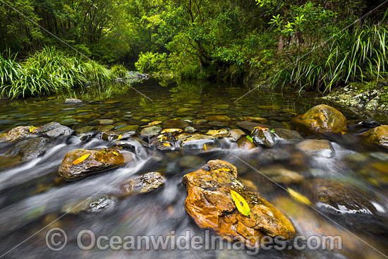Rainforest Stream rocky rapids, situated on Urumbilum River in the Bindarri National Park, near Coffs Harbour, New South Wales, Australia. Photo - Gary Bell Rainforest Stream rocky rapids, situated on Urumbilum River in the Bindarri National Park, near Coffs Harbour, New South Wales, Australia. Photo - Gary Bell