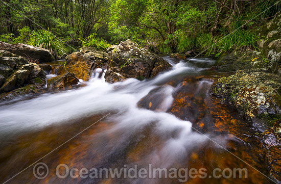 Rainforest Stream rocky rapids, situated on Urumbilum River in the Bindarri National Park, near Coffs Harbour, New South Wales, Australia. Photo - Gary Bell Rainforest Stream rocky rapids, situated on Urumbilum River in the Bindarri National Park, near Coffs Harbour, New South Wales, Australia. Photo - Gary Bell