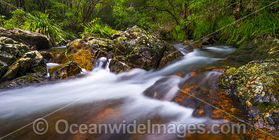 Rainforest Stream rocky rapids, situated on Urumbilum River in the Bindarri National Park, near Coffs Harbour, New South Wales, Australia. Photo - Gary Bell Rainforest Stream rocky rapids, situated on Urumbilum River in the Bindarri National Park, near Coffs Harbour, New South Wales, Australia. Photo - Gary Bell