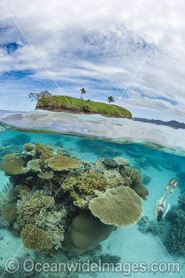 Snorkeler Kadavu Island Fiji photo