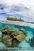Snorkeler Kadavu Island Fiji Photo - David Fleetham