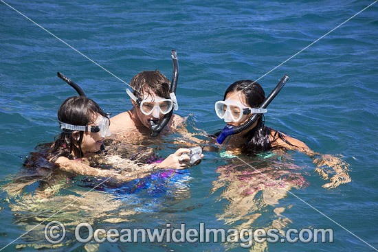 Snorkel divers exploring a tropical coral reef. Photo taken in Hawaii, USA. Photo - David Fleetham