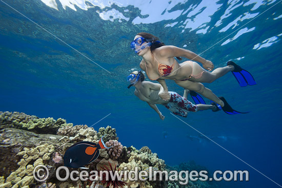 Snorkeling Hawaii photo