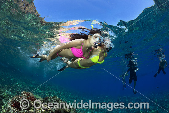 Snorkel divers exploring a tropical coral reef. Photo taken in Hawaii, USA. Photo - David Fleetham Snorkel divers exploring a tropical coral reef. Photo taken in Hawaii, USA. Photo - David Fleetham